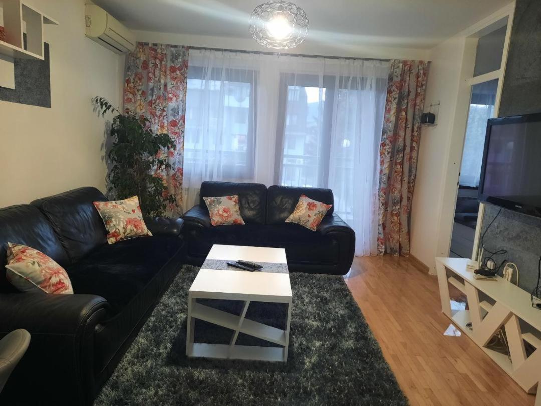 Apartment Dzoni *