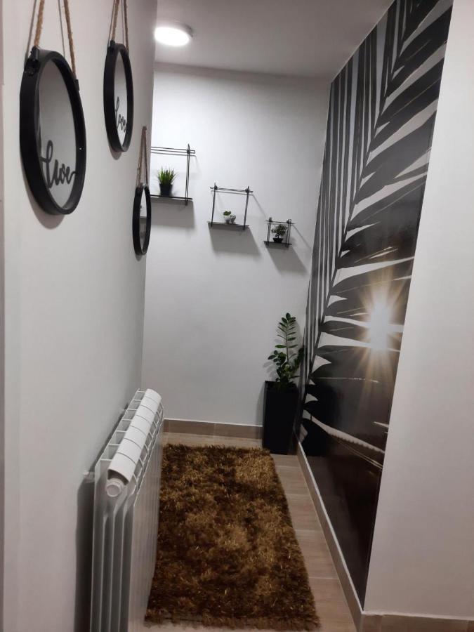 Apartment Dzoni